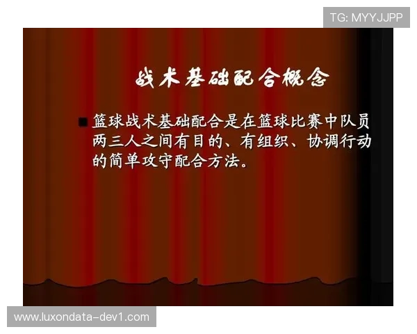 上海排球队快攻战术解析与实战应用探讨