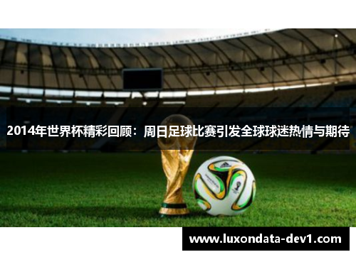 2014年世界杯精彩回顾：周日足球比赛引发全球球迷热情与期待
