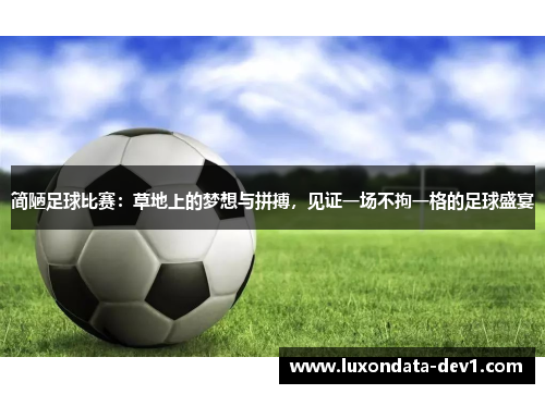 简陋足球比赛：草地上的梦想与拼搏，见证一场不拘一格的足球盛宴