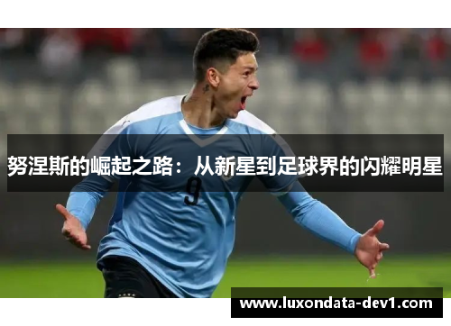 努涅斯的崛起之路：从新星到足球界的闪耀明星