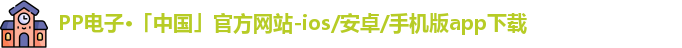 PP电子